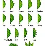 詹姆斯泸州老窖天府中学赛后发声的简单介绍 詹姆斯泸州老窖天府中学赛后发声的简单介绍